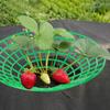 5/10pcs Strawberry Plant Supports with Three Sturdy Legs Provide Protection for Strawberries Against Mold, Rot, and Dirt