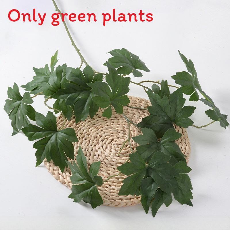 Liebm Deliciosa Monstera And Eucalyptus Citriodora Hook Green Decor Plants