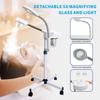 2-in-1 Facial Magnifying Lamp Professional Beauty Equipment Facial Steamer Rehydration Machine Multi-functional Sprayer