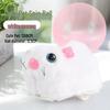 VZZS Luminous Rolling Pet Toy Ball