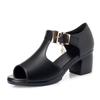 One-word Buckle New Breathable Shoes Thick Heel Women's Medium Sandals Summer Medium Heel Women's Sandals