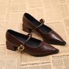 Women Mary Jane Shoes Vintage Pointed Toe Elegant Spring 2026 Ladies Outdoor Low Heel Shoes Fashion Chunky Party Dress Pumps