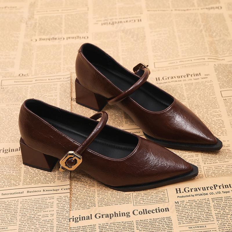 Women Mary Jane Shoes Vintage Pointed Toe Elegant Spring 2026 Ladies Outdoor Low Heel Shoes Fashion Chunky Party Dress Pumps