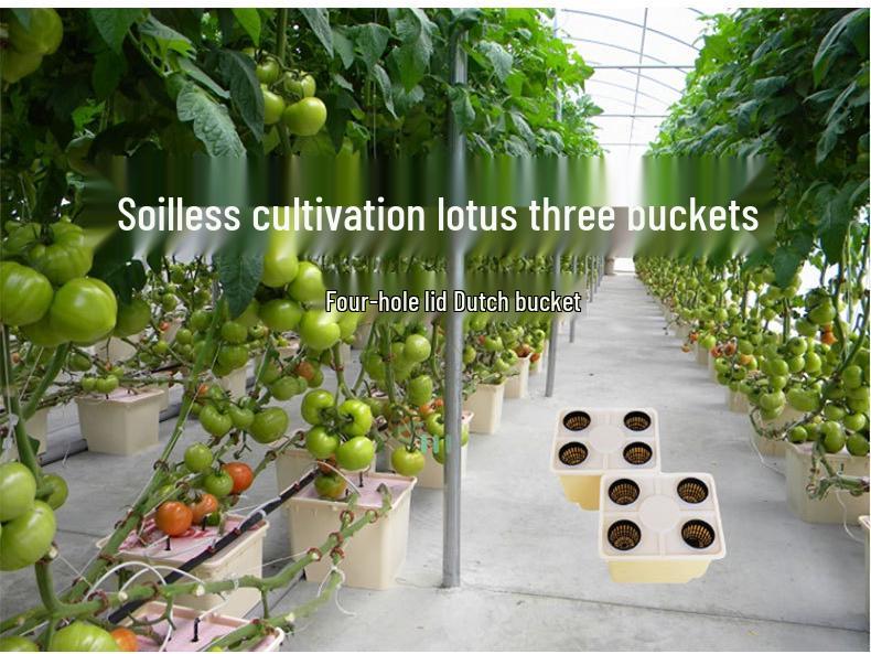 Dutch Bucket Hydroponic Planter for Vegetables, Fruits, and Flowers