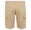 Regatta Шорты Ruwan
