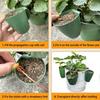 Propagation Cup Kit Featuring Food Grade Plastic and Runner Forks Ideal for Strawberry Runners and Seedling Cultivation