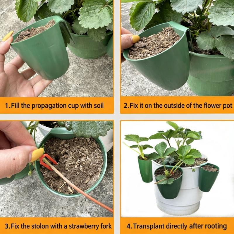 Propagation Cup Kit Featuring Food Grade Plastic and Runner Forks Ideal for Strawberry Runners and Seedling Cultivation