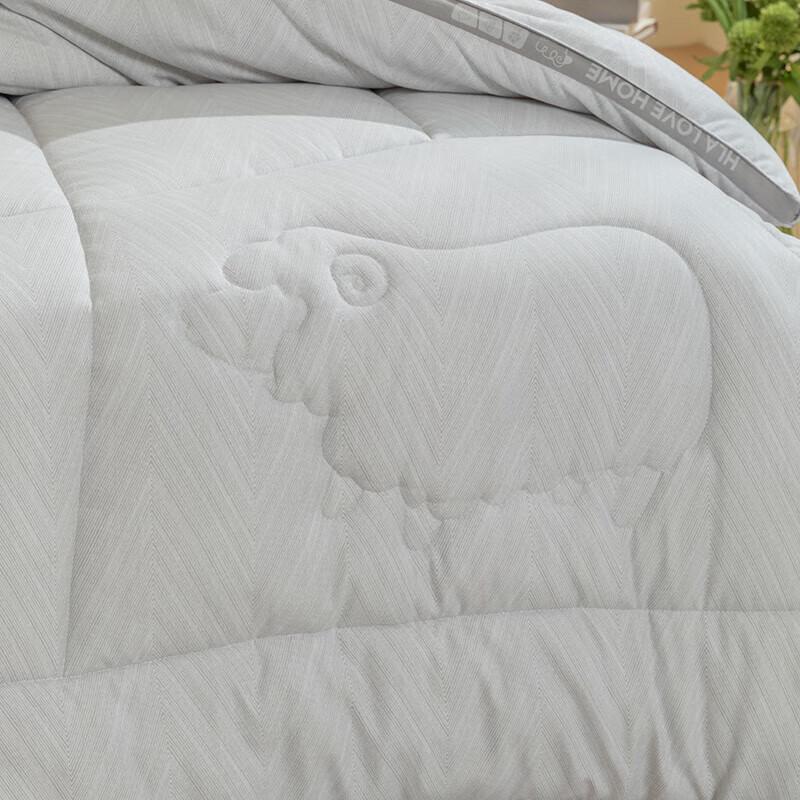 HLA Antibacterial Thickened Wool Winter Duvet