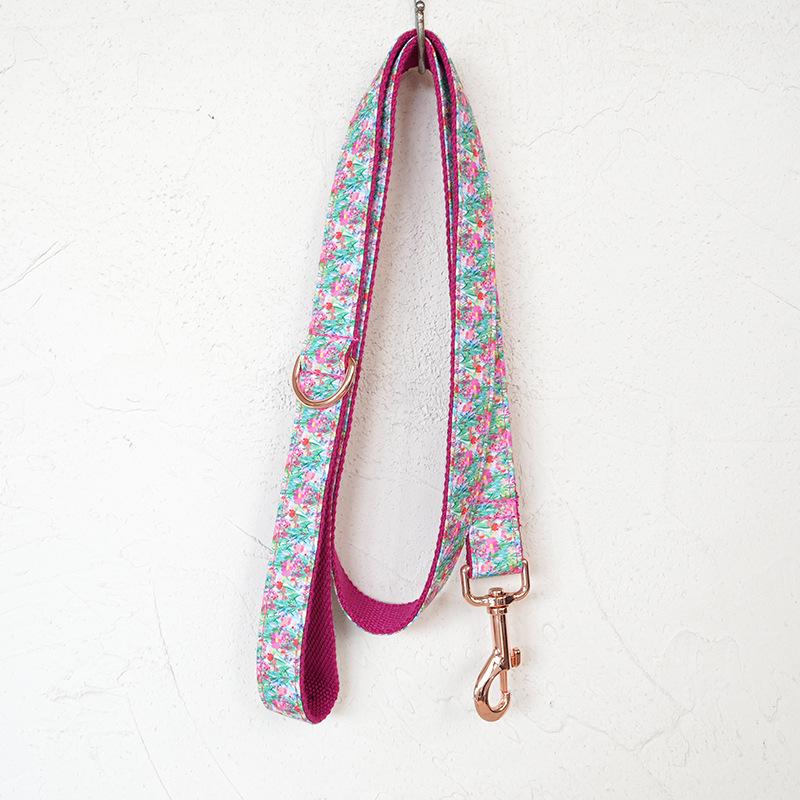 MUTTCO Watercolor Garden Pet Collar & Leash Set with Rose Gold Buckle, UDC-202M XS
