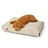 Dog Bed Hunter Belluno Beige 100 x 70 cm