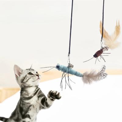 Katzen – Katzenspielzeug