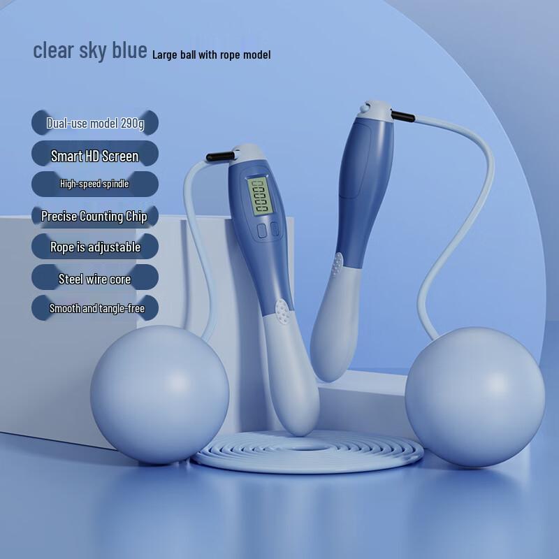 Longzhan Smart Weighted Steel Jump Rope