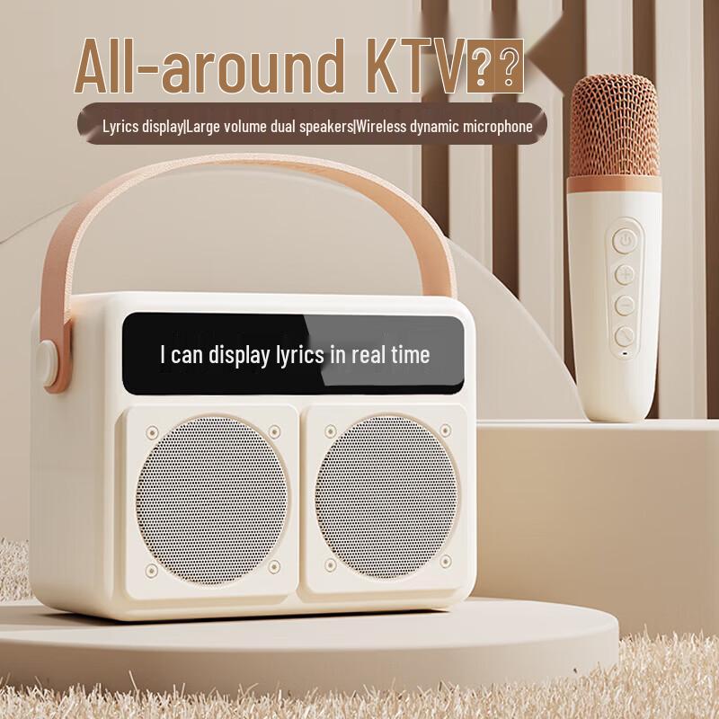 SANSUI V2 Wireless Bluetooth KTV Speaker with Dual Microphones CN plug (adapter included)