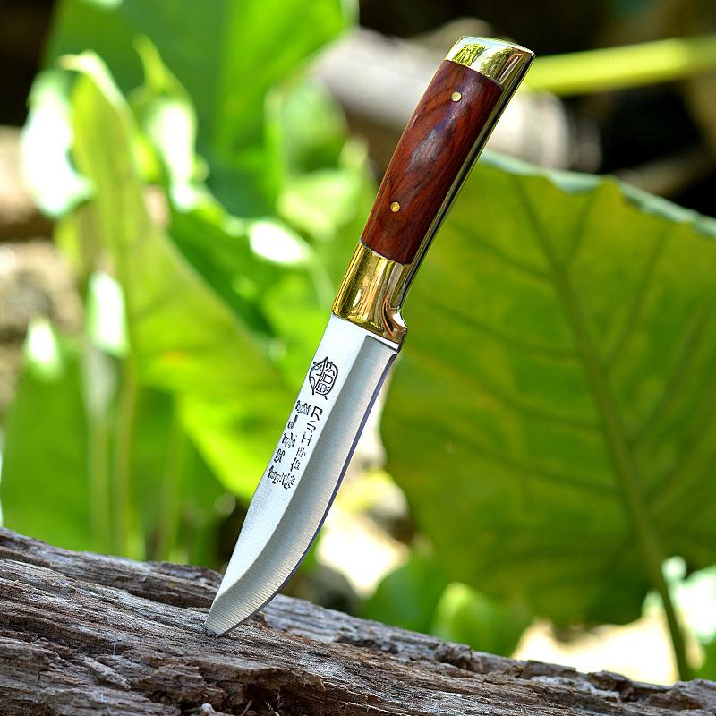 Stainless Steel Boning Knife Fruit Vegetable Slicer Cooking Tool with Cover