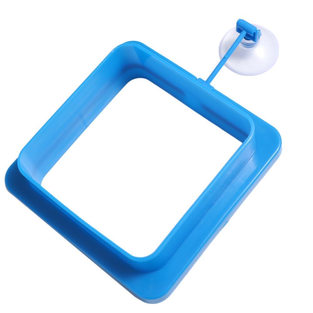 Suction Cup Floating Feeding Ring Thicken Floating Food Tray Fish Food Feeder  Aquarium