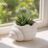 Muschelförmiger Pflanztopf 3D-gedruckter Blumentopf, Feuchtigkeitsbeständig Mini mit gewelltem Rand und Entwässerung Blumentopf Abflussloch Design, Meeresstil für