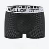 5pcs Summer Ice Silk Mesh Men's Underwear Mesh Men's Sexy Underwear Breathable Mesh Quadrangle Pants Youth Boxer Brief