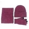 Winter Warm Set Fleece Lined Three Piece Hat Scarf Touch Screen Gloves