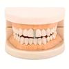 3Pcs New Hollow Hip Hop Tooth Grillz Shiny Zircon Rhinestone Teeth Caps Tooth Jewelry Women Men