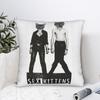 Sex Kittens Sex Pistols Pillow Cover  Vintage Pillow Case For Sofa Home Decor Comfy Pillowcases Birthday Gift