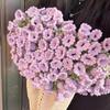 DIY Hand-Knitted Rose Bouquet Blanket Kit - Complete with Yarn and Tools for a Beautiful Flower-Themed Gift.