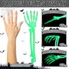 Realistic Glowing Skeleton Hand With Adjustable Fingers Halloween Yard Decoration Plastic Waterproof For Eerie Themes