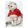 Katze Chinesisches Neujahr Kostüm Umhang Frühlingsfest Hundeumhang Verkleidung Kleidung Festkostüm Foto Outfit für Haustiere