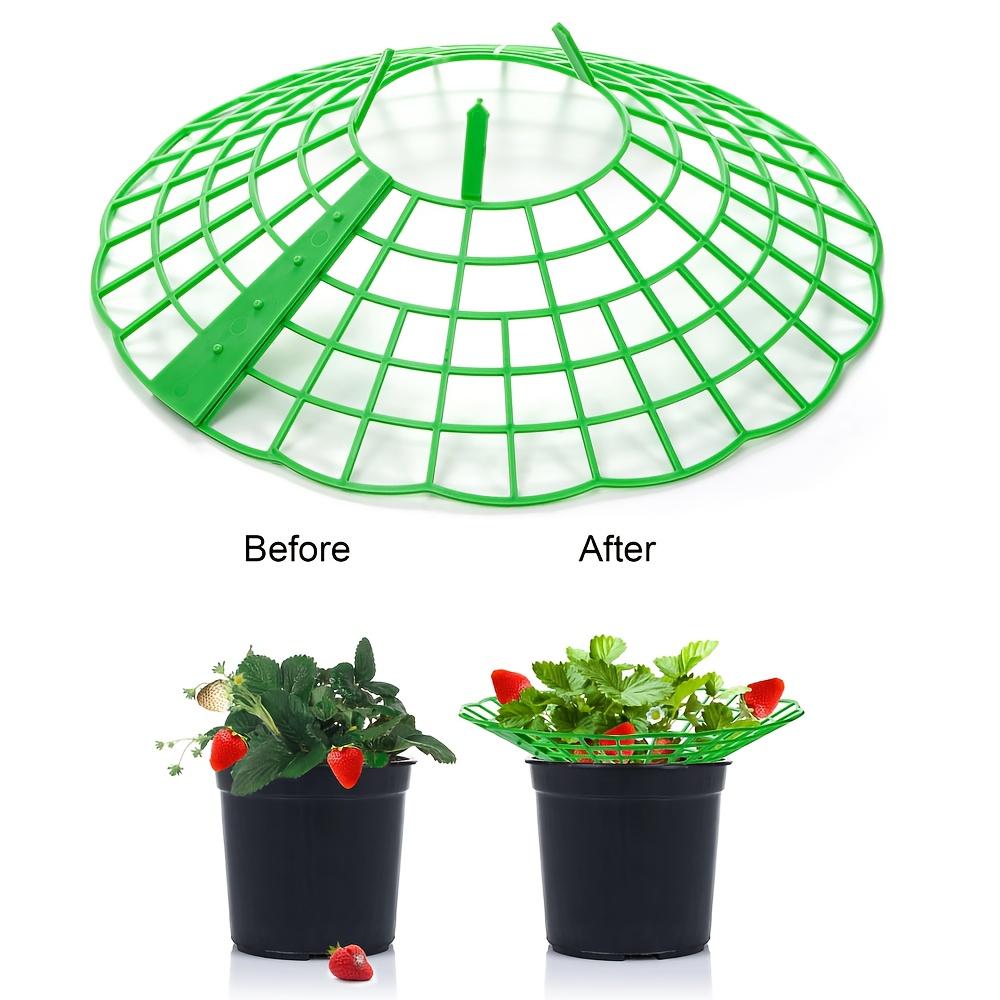 16 Stück Grüner Erdbeer-Pflanzständer mit 3 stabilen Beinen - PVC-Pflanzenstützkäfig, Korrosions- und Fäulnisbeständig für Hausgarten,