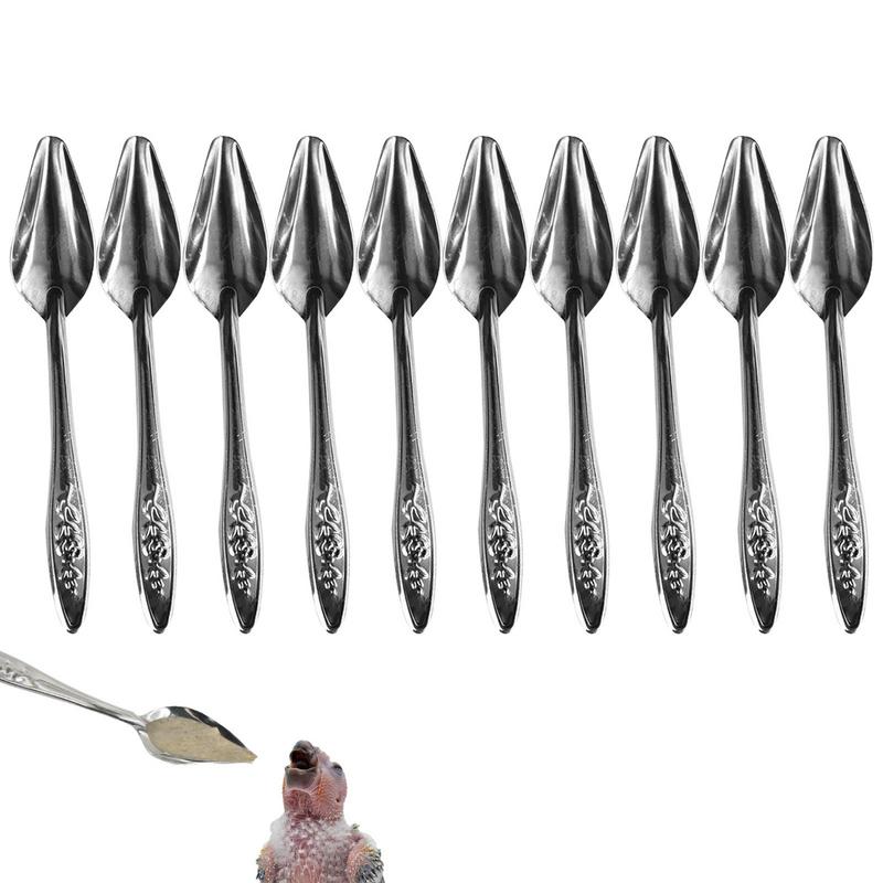10pcs Portable baby bird feeding water spoon bird parrot feeding spoon stainless steel water milk powder feeder spoon bird food