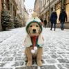 Warm Dog Christmas Cape Cute Pet Cloak Creative Clothing Cat Cosplay Costume  Winter Outfit