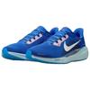 Nike Air Zoom Pegasus 41 Racer Blue Men Sneakers Blue-Void Light-Photo-Blue Sail HQ1717-400