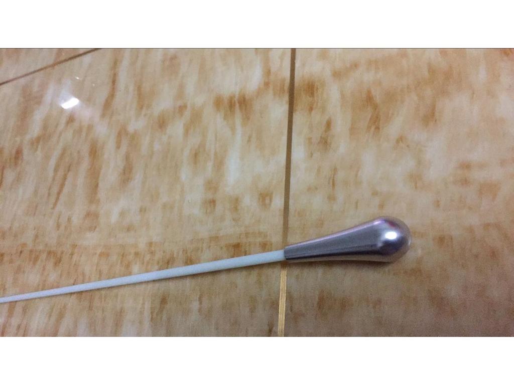 Elegant Gold and Silver Concert Conductor Baton