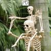 Skeleton Decoration 90 Cm