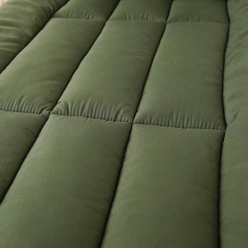 Liuei Military Green 4 Jin Quilt & Mattress Set