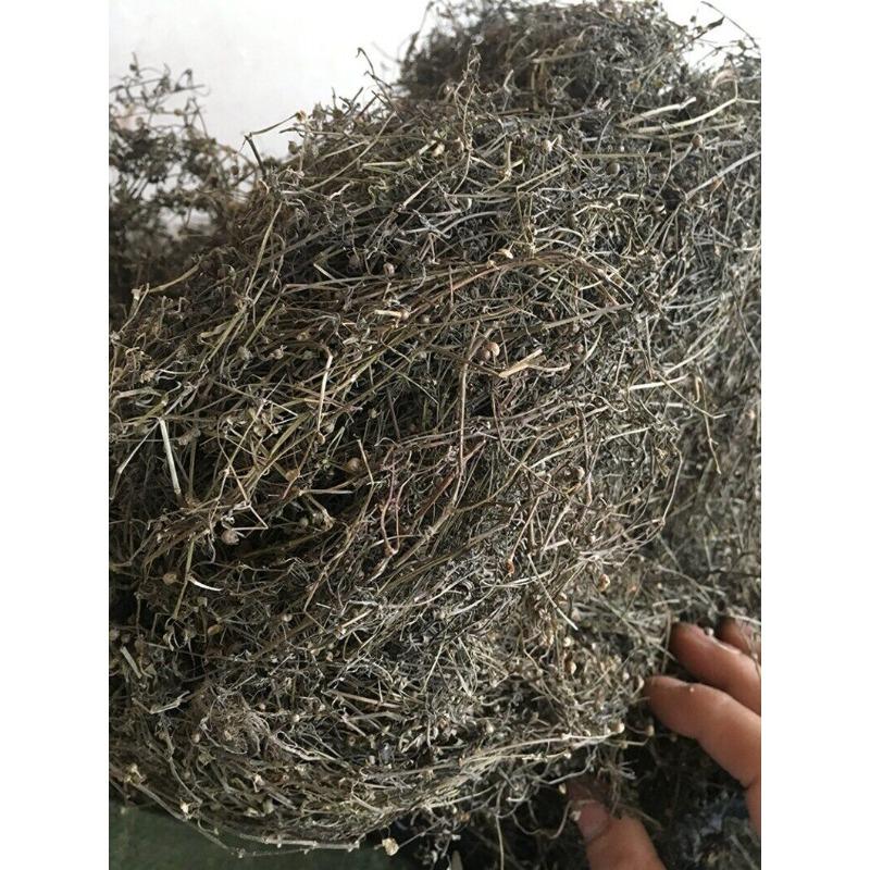 

250 г сушеной травы Hedyotis Diffusae, Бай Хуа Ше Ши Цао