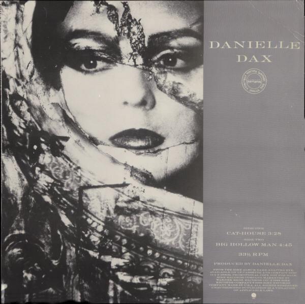 

12-дюймовая пластинка DANIELLE DAX CatHouse Big Hollow Man PROA3330 Sire 1988 США Танцевальная Электроника Б/у