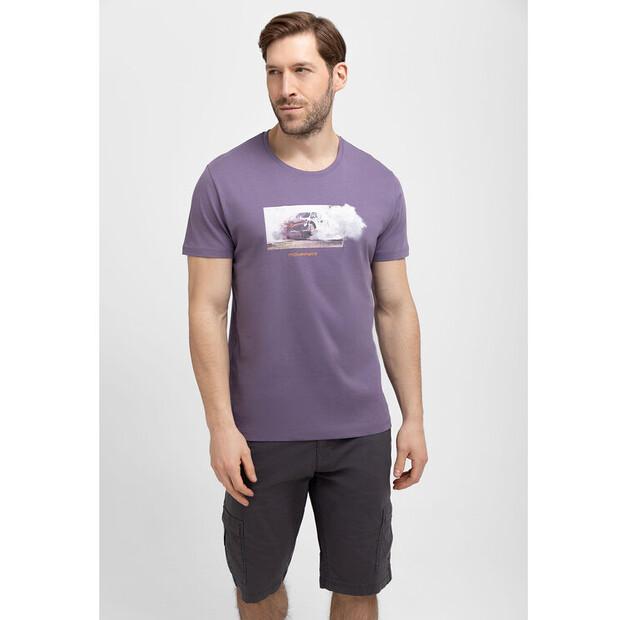 Футболка Volcano T-DUST EU L