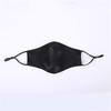 2pcs Double Layer Mask Ice Silk For Adult Four Seasons Sunscreen Breathable Mask
