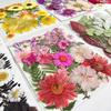 25PCS Dried Flowers Set for DIY Resin Pendant Making Filling Pressed Real Natural Flowers Leaves for Bookmark Phose Case Making
