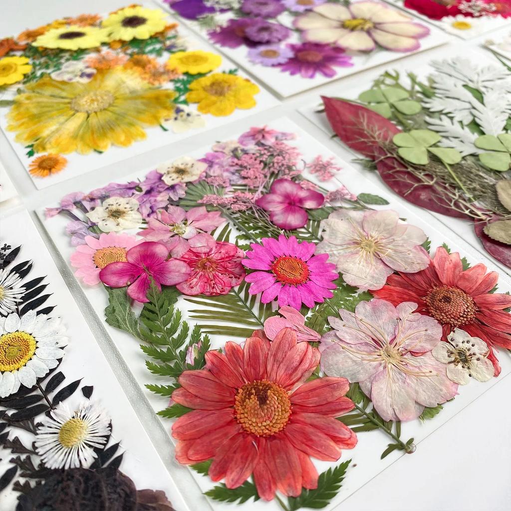 25PCS Dried Flowers Set for DIY Resin Pendant Making Filling Pressed Real Natural Flowers Leaves for Bookmark Phose Case Making