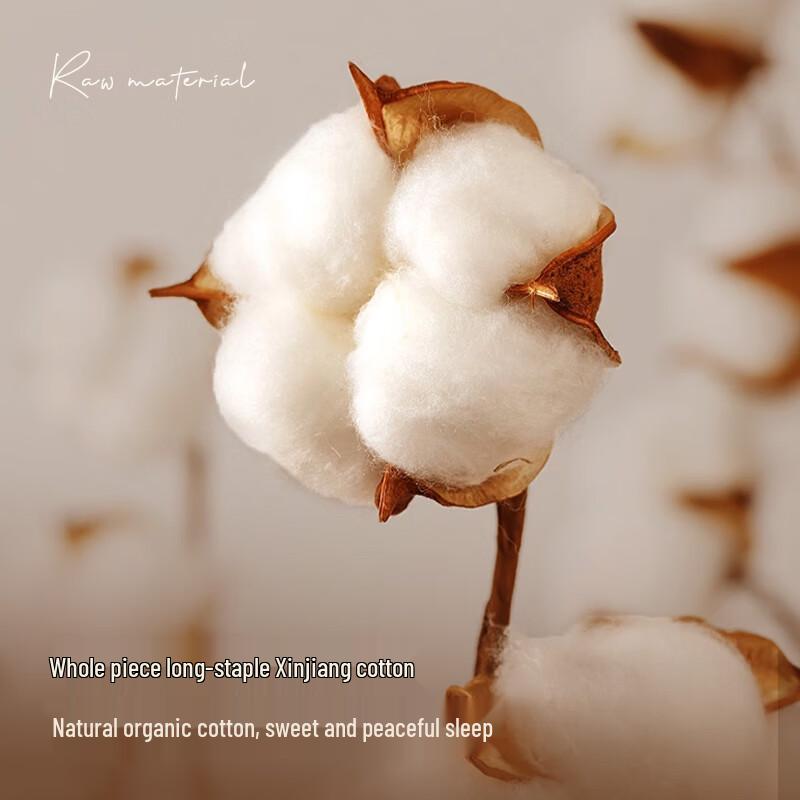 JD x GOGOHOME Xinjiang Cotton Winter Quilt