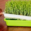 1pcs Planting Trays Grow Basket Hydroponics Microgreens Tray Double Layer Garden Germination Sprout Plate Nursery Pots Tray