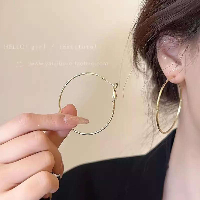 S925 Silver Needle Exaggerated Simple Hoop Earrings: Luxurious, High-End European & American Style for Women