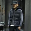 Autumn And Winter Down Cotton Korean Waistcoat Men's Loose And Thickened Men's Vest
