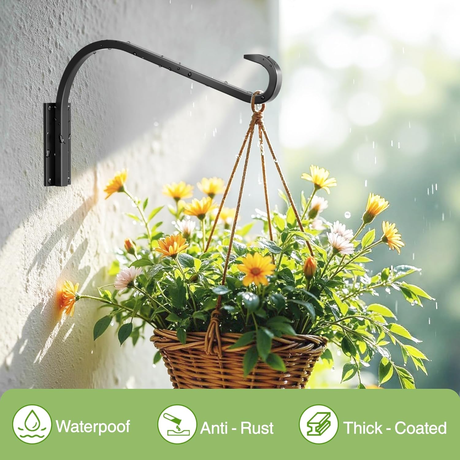 

Pack Plant Hangers for Indoor/Outdoor Wall Mount - Heavy Duty Plant Holder & Bird Feeder Hooks, Decorative United States