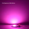 LED Grow Light Lamp Chip Full Spectrum 110V 220V LED Chip COB Lamp Beads 20W 30W 50W For Indoor Seeding Vegetable Flower Plants Grow Spotlight Bulb