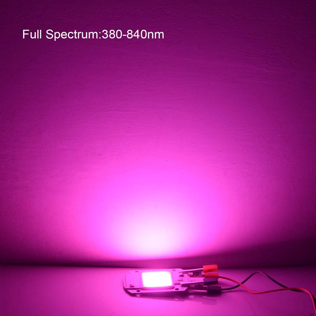 LED Grow Light Lamp Chip Full Spectrum 110V 220V LED Chip COB Lamp Beads 20W 30W 50W For Indoor Seeding Vegetable Flower Plants Grow Spotlight Bulb
