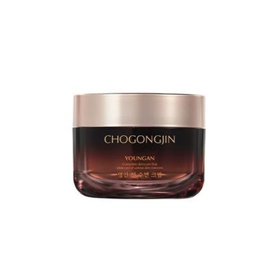 CHOGONGJIN Youngan Jin Sleeping Cream 100ml (14853221)
