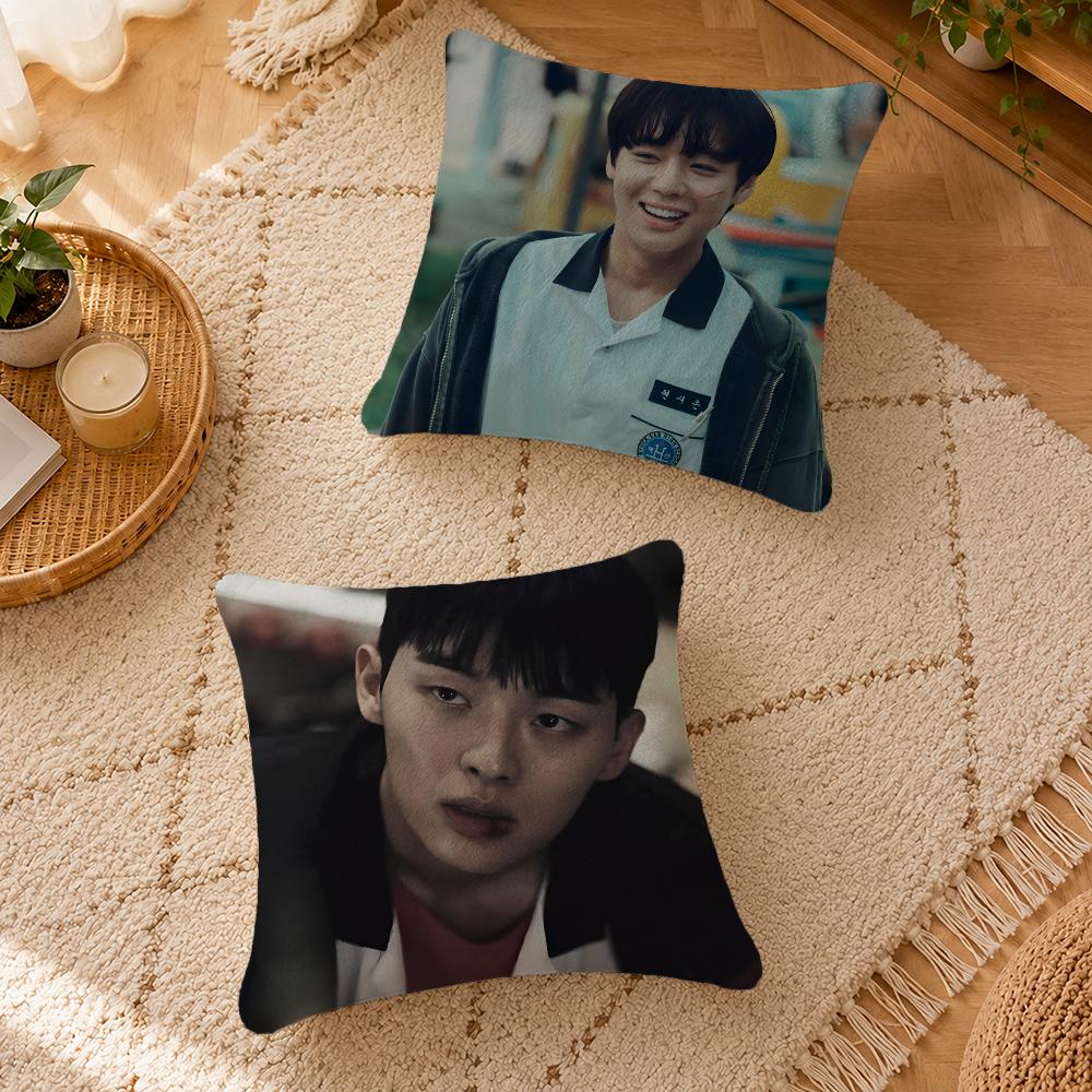Series Weak Hero Class One Cushion Cover Personalized Short Plush Cushion Cover Sofa Pillowcase Bedroom Home Decor Gift