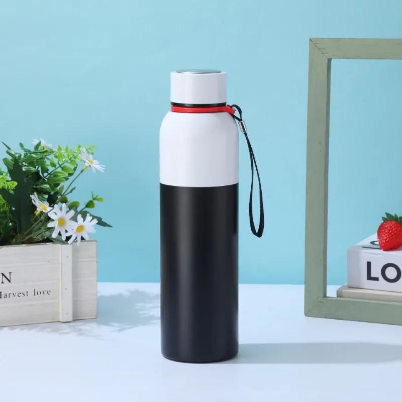 600-1000ml Outdoor Insulated Stainless Steel Bottle, Leakproof Large Capacity Thermos for Camping & Gym